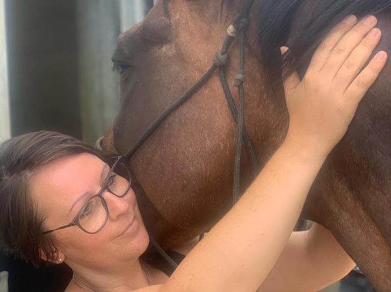 Massage bij paarden